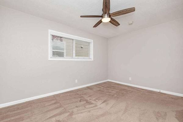 1BR/1BA Apartment on Central Avenue · Fremont photo 2