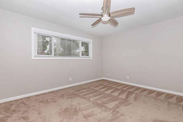 1BR/1BA Apartment on Central Avenue · Fremont photo 3
