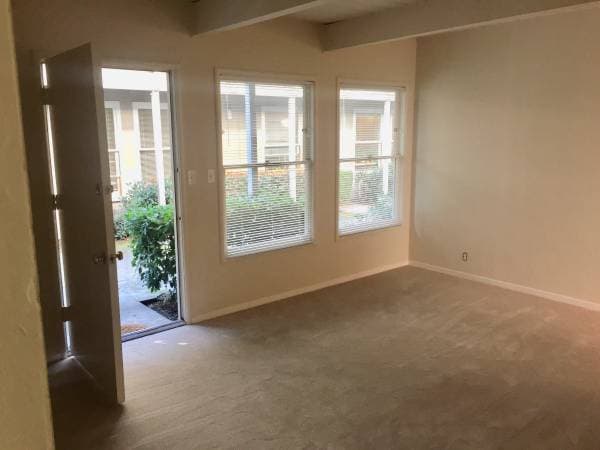 2BR/1BA Apartment on Telegraph Ave · Oakland photo 4