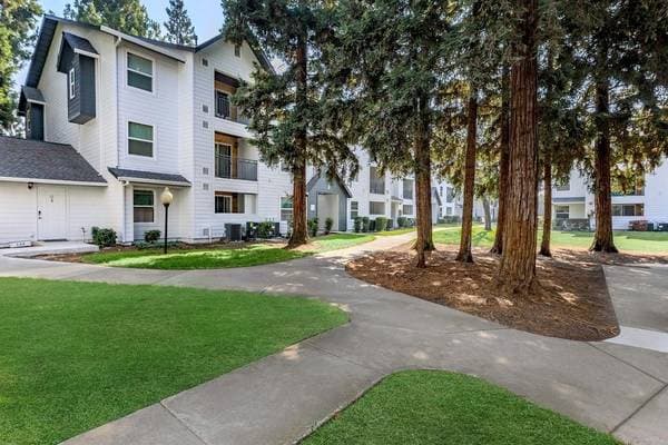 2BR/1BA Apartment on North Milpitas Boulevard · Milpitas photo 5