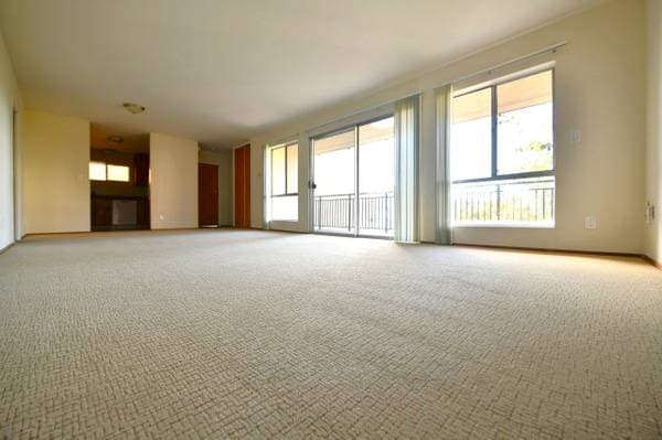 2BR/2BA Apartment on Regent St · Berkeley photo 4
