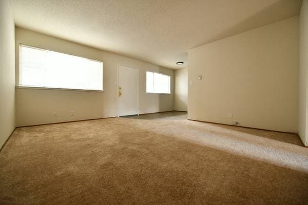2BR/1BA Apartment on Francisco St · Berkeley photo 3