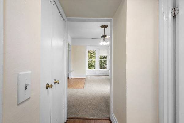 0BR/1BA Apartment on Park Ave · Oakland photo 3