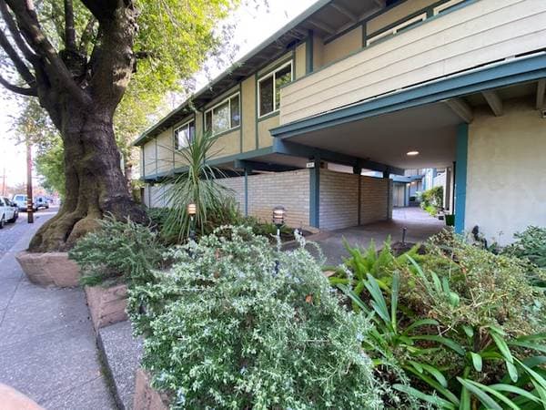 1BR/1BA Apartment on San Anselmo Ave. · San Anselmo photo 1