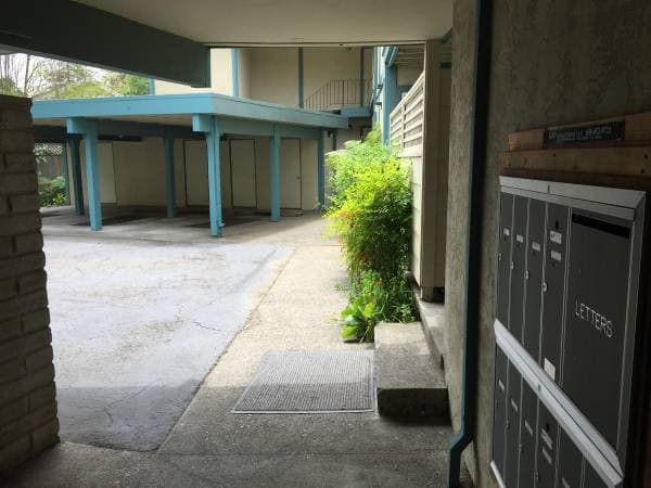 1BR/1BA Apartment on San Anselmo Ave. · San Anselmo photo 2
