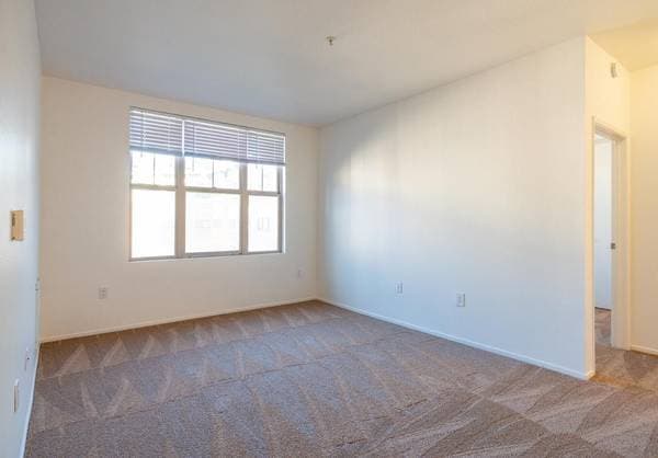 1BR/1BA Apartment · Pacifica photo 2