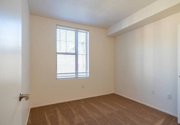 1BR/1BA Apartment · Pacifica photo 4