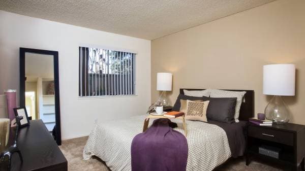 1BR/1BA Apartment on N Capitol Ave · San Jose photo 5