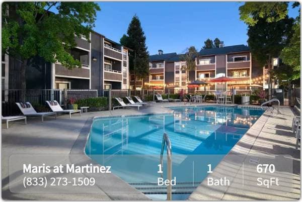 1BR/1BA Apartment on Fig Tree Ln · Pleasant Hill photo 3