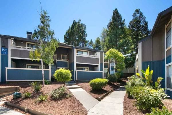 1BR/1BA Apartment on Fig Tree Ln · Pleasant Hill photo 5