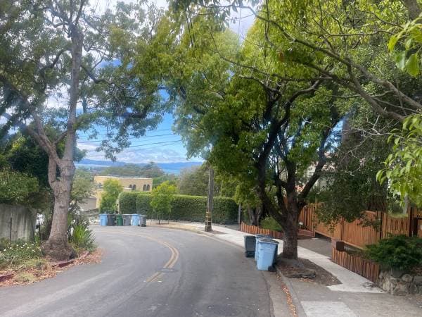 0BR/1BA In Law Adu · Berkeley photo 1