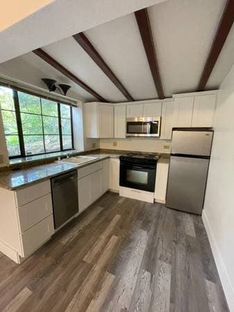 0BR/1BA In Law Adu · Berkeley photo 3