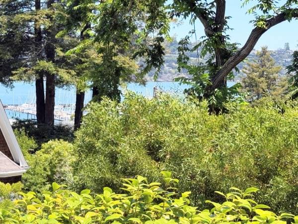 2BR/1BA Duplex · Sausalito photo 1