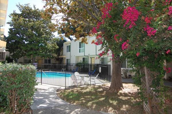 1BR/1BA Apartment · Campbell photo 1