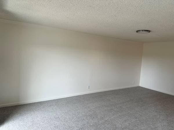 Dolores Apartments photo 3