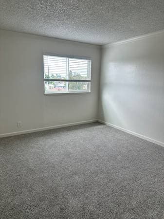 Dolores Apartments photo 4