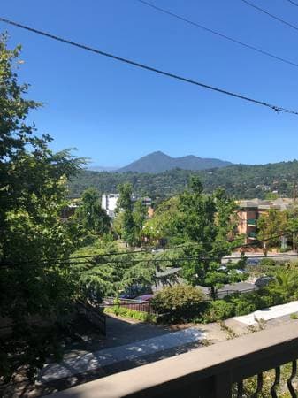 1BR/1BA Apartment · San Rafael photo 3
