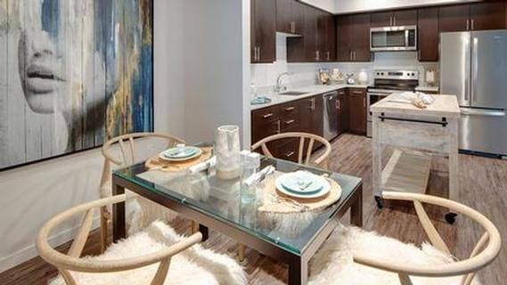 2BR/1BA Apartment · San Jose photo 4
