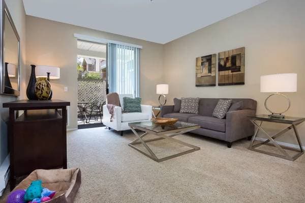 1BR/1BA Apartment · San Jose photo 3