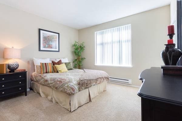 1BR/1BA Apartment · San Jose photo 5
