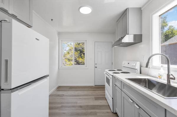 1BR/1BA Apartment on Lincoln Ave · Oakland photo 2