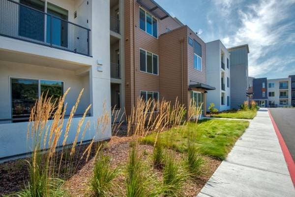 1BR/1BA Apartment on Baywood Drive · Petaluma photo 5