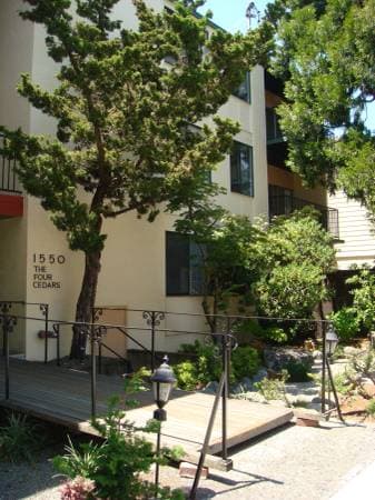 1BR/1BA Apartment · Berkeley photo 1
