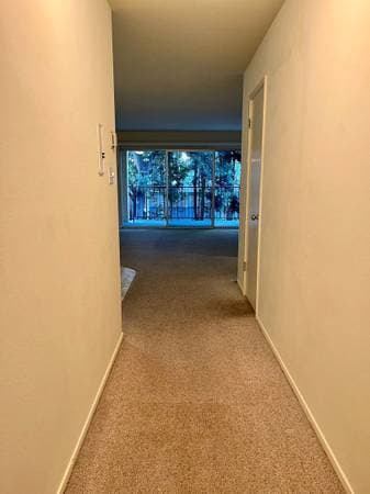 1BR/1BA Apartment · Berkeley photo 5