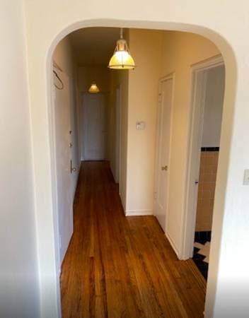 1BR/1BA Apartment · Berkeley photo 4
