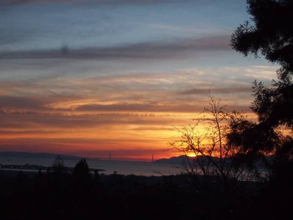 1BR/1BA In Law Adu on Arlington Ave · Berkeley photo 1