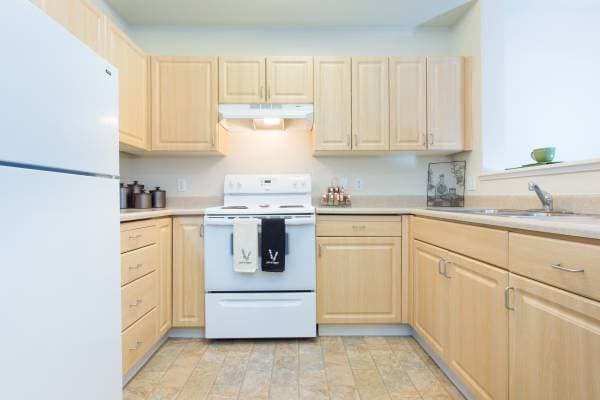 1BR/1BA Apartment · San Jose photo 4