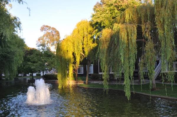 2BR/1BA Condo on Bayside Court · Richmond photo 2