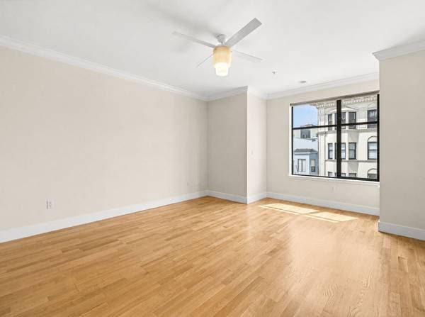 3BR/2BA Condo on Pine Street · San Francisco photo 5