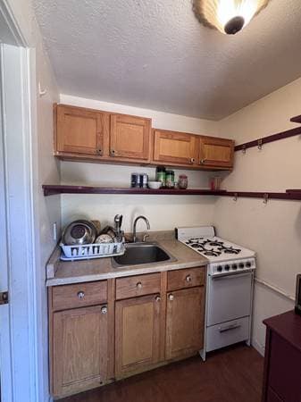 0BR/1BA In Law Adu · Sebastopol photo 5