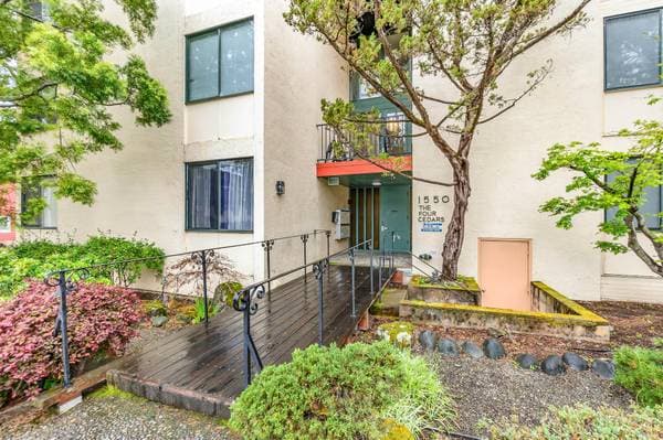 3BR/3BA Apartment · Berkeley photo 2
