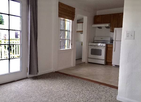 1BR/1BA Flat · Oakland photo 4
