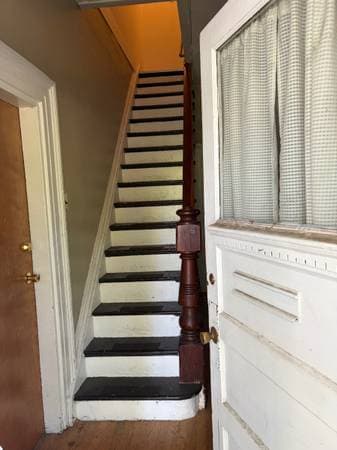 1BR/1BA Apartment · Petaluma photo 2