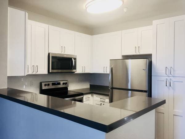 1BR/1BA Apartment · San Jose photo 2
