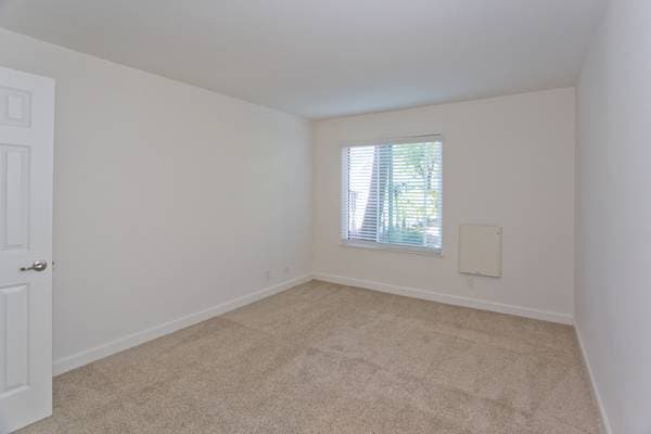 1BR/1BA Apartment on Catamaran Street · San Mateo photo 4
