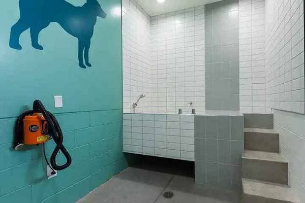 0BR/1BA Apartment on Octavia St · San Francisco photo 4