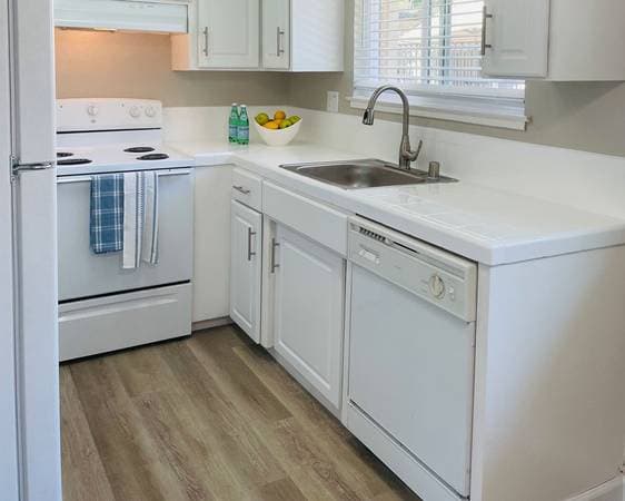 1BR/1BA Apartment on California St · Los Altos photo 4