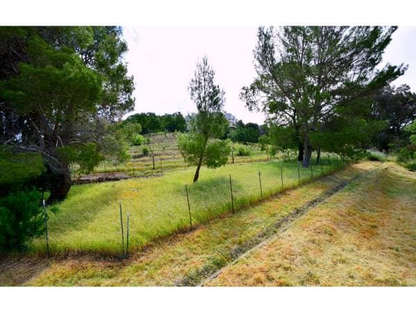 2BR/1BA Apartment · San Rafael photo 4
