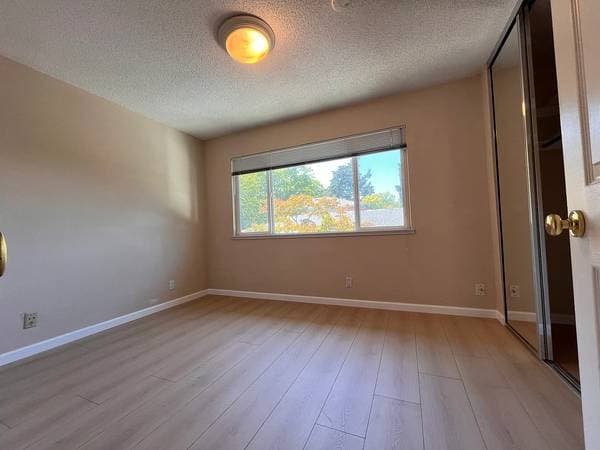 Remodeled 4 Bed 2 Bath Beauty in Vintage Hills photo 3