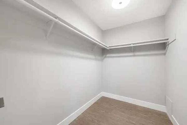 1BR/1BA Other on Bellflower Ave · Mountain View photo 4