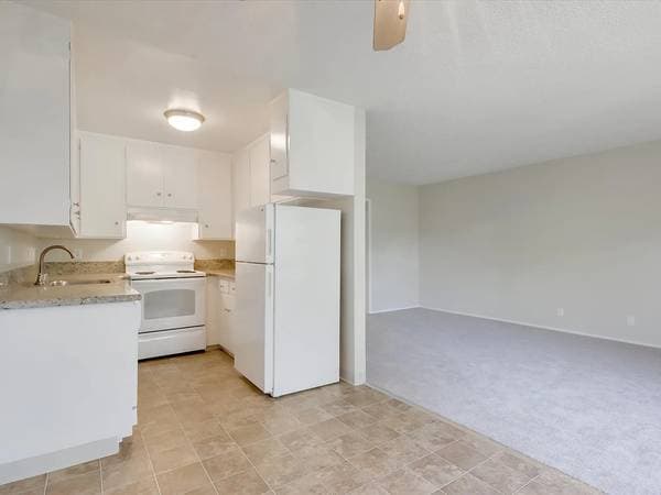 1BR/1BA Apartment on San Antonio Ave · Menlo Park photo 5
