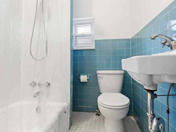 1BR/1BA Apartment · San Jose photo 5