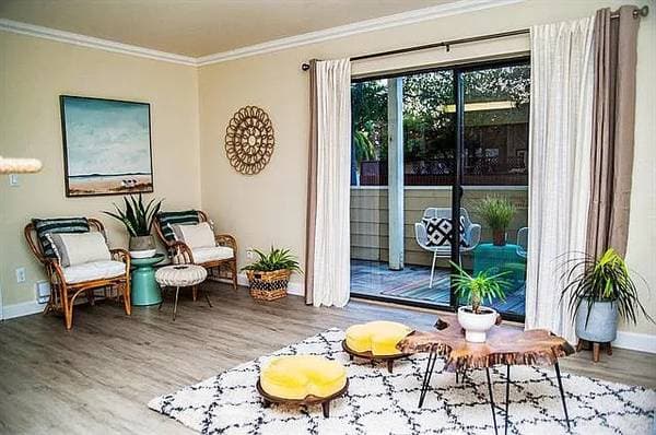 2BR/2BA Apartment on Grandview St · Santa Cruz photo 1