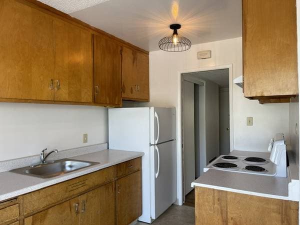 3BR/2BA Apartment · Berkeley photo 3