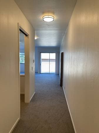 2BR/1BA Apartment · Berkeley photo 4