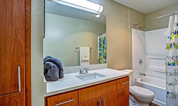 1BR/1BA Apartment · Santa Clara photo 3